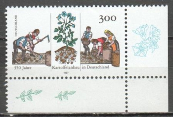 NSR 1946 ** - 1997